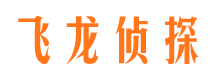 洪湖私家调查公司